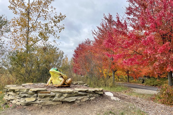 Outdoor Discovery Center