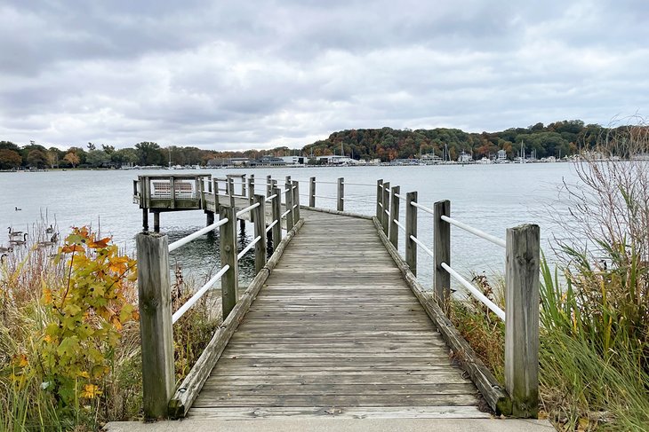 Mt. Pisgah Dune Boardwalk