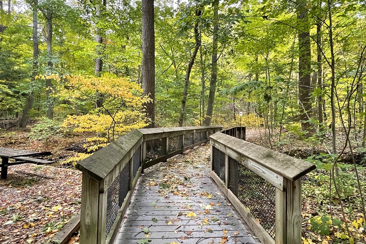 Sanctuary Woods Preserve