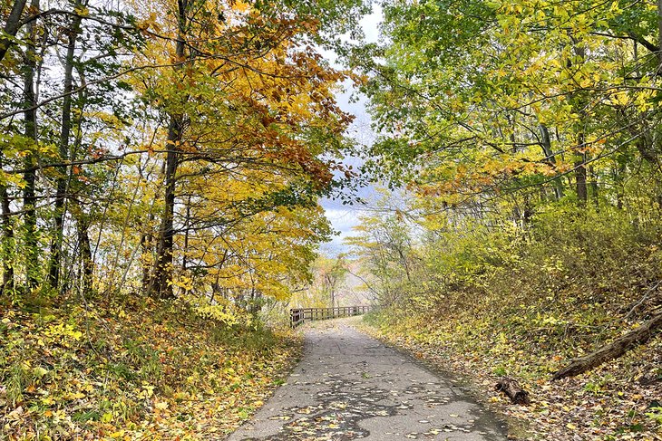 Fall colors along the Kal Haven Trail