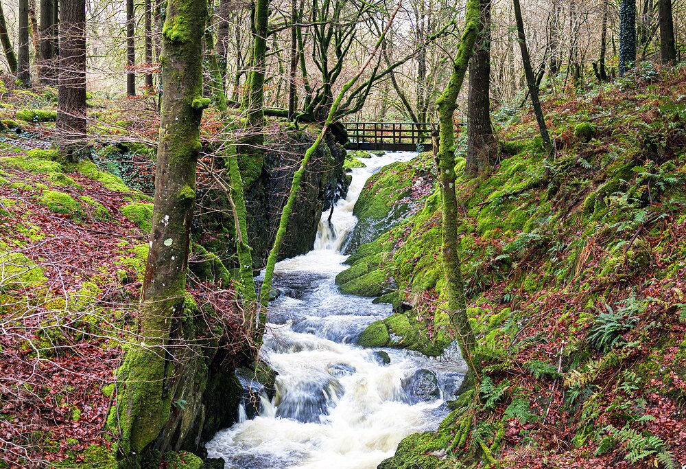 Waterfall on the Hafod Estate