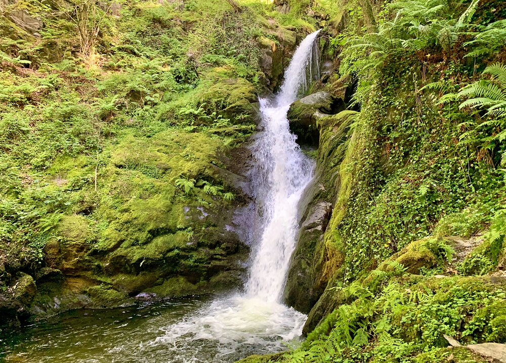 Dolgoch Falls