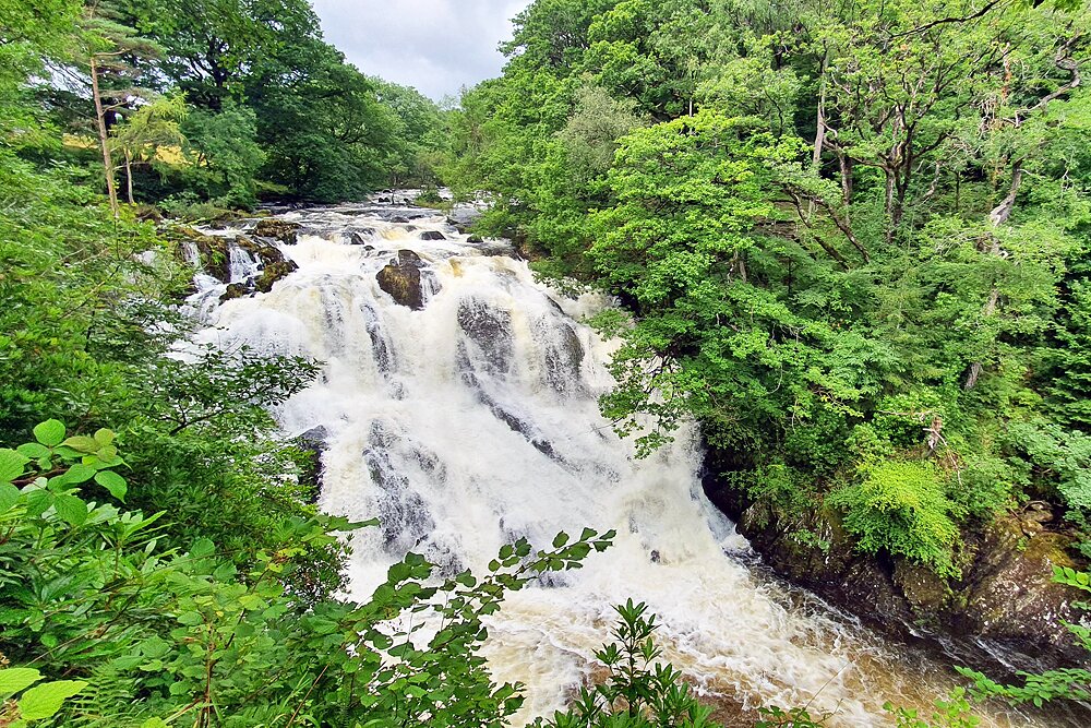 Swallow Falls