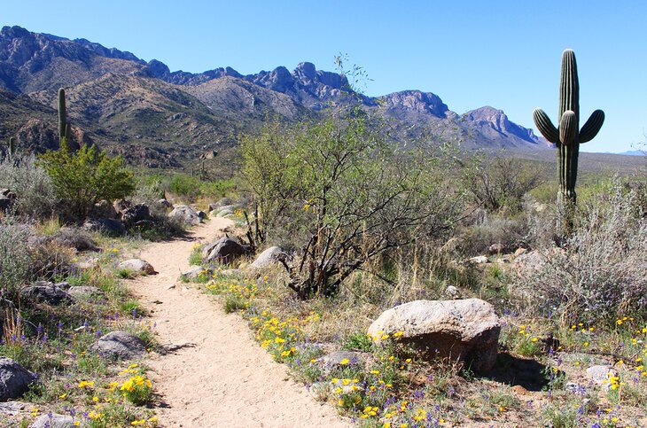 Sutherland Trail in Tucson