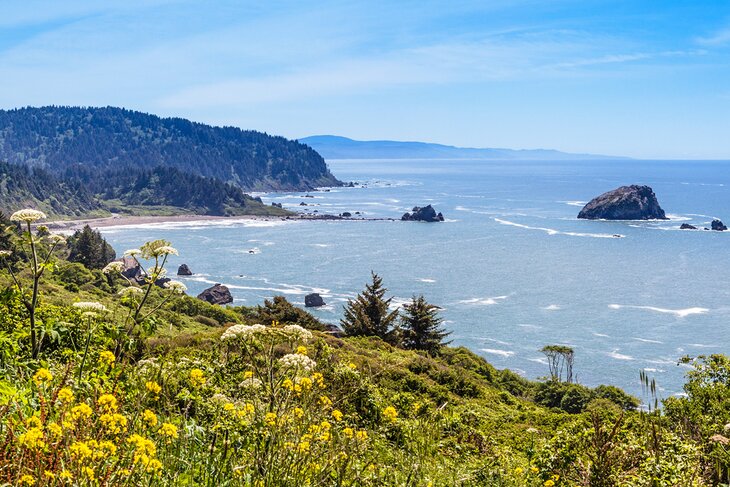 Del Norte Coast Redwoods State Park