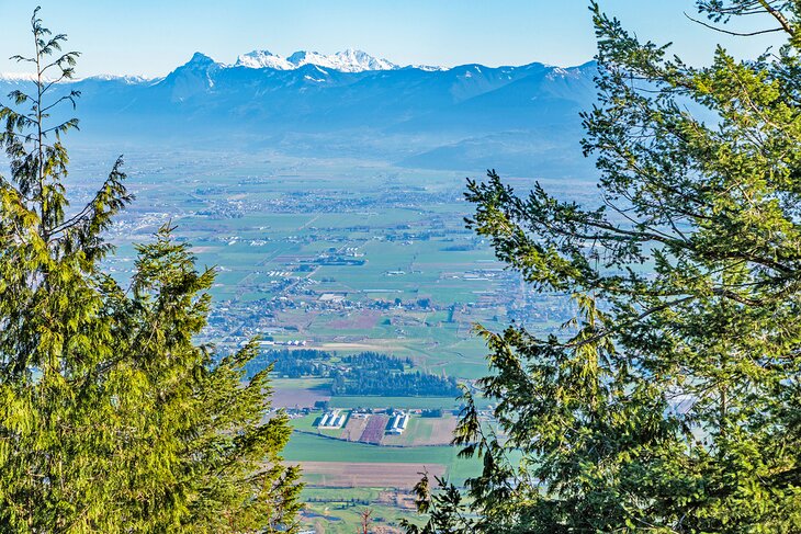 View of Sumas Prairie from Sumas Mountain, Abbotsford, B.C.