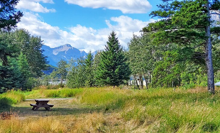 Lac Des Arcs Campground near Canmore 