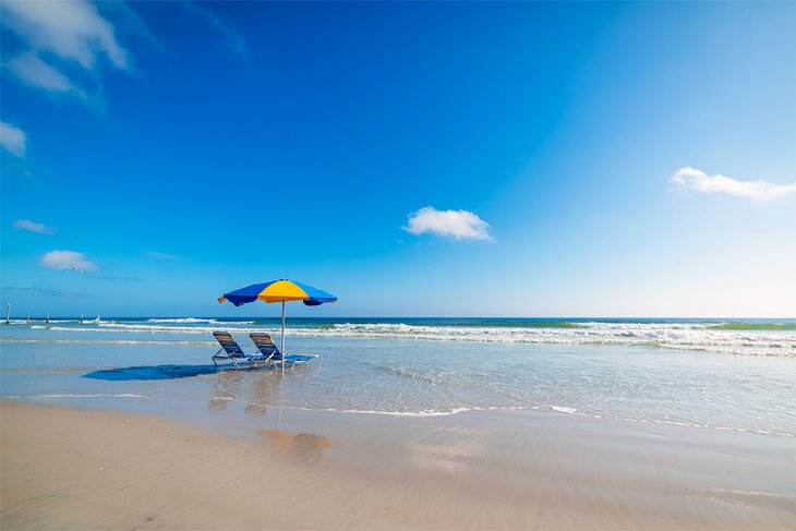 Sun lounges on Daytona Beach