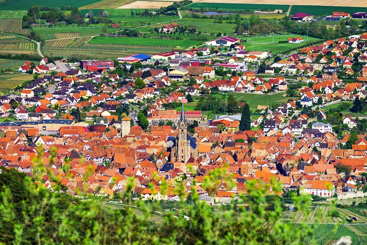 View over Dambach-la-Ville