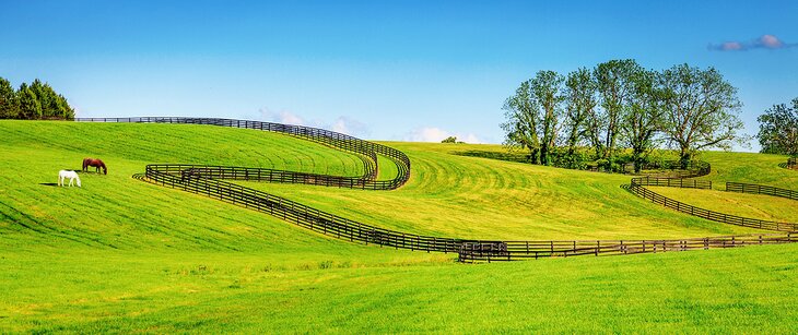 Farm in Kentucky