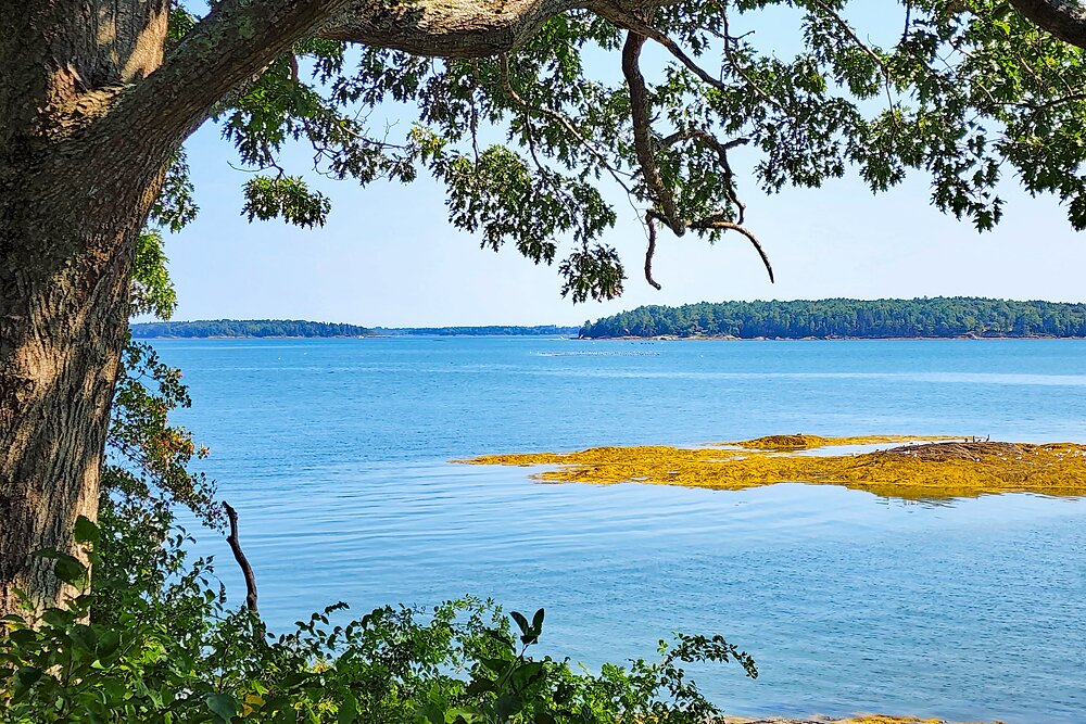 View from Delia B. Powers Winslow Memorial Park in Freeport, Maine 