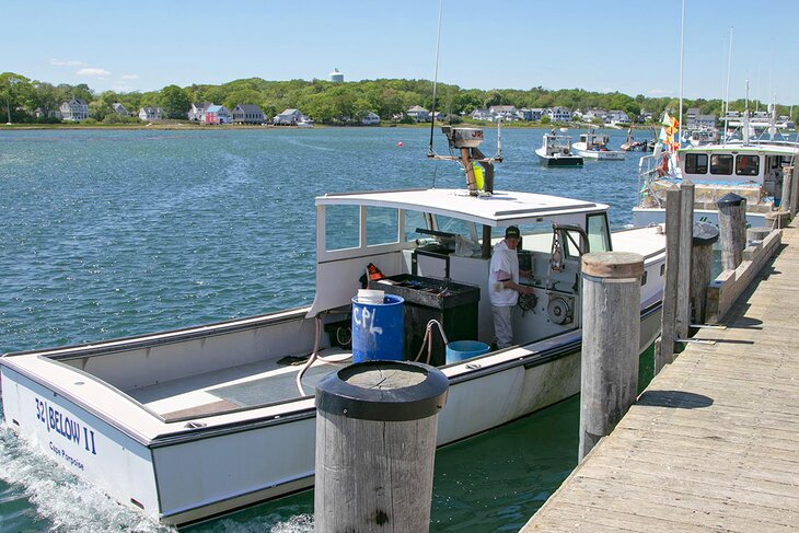 Cape Porpoise