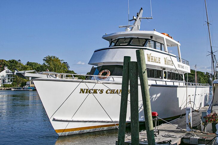 Whale Watch Boat