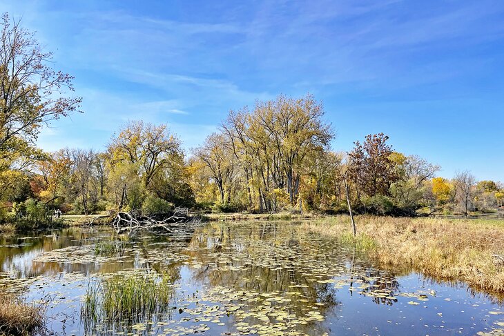 Bay City State Park