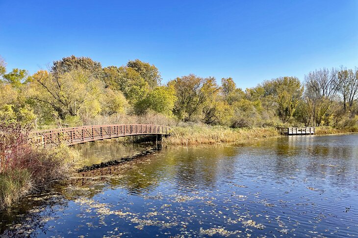 Las 10 mejores cosas para hacer en Mt. Pleasant, MI