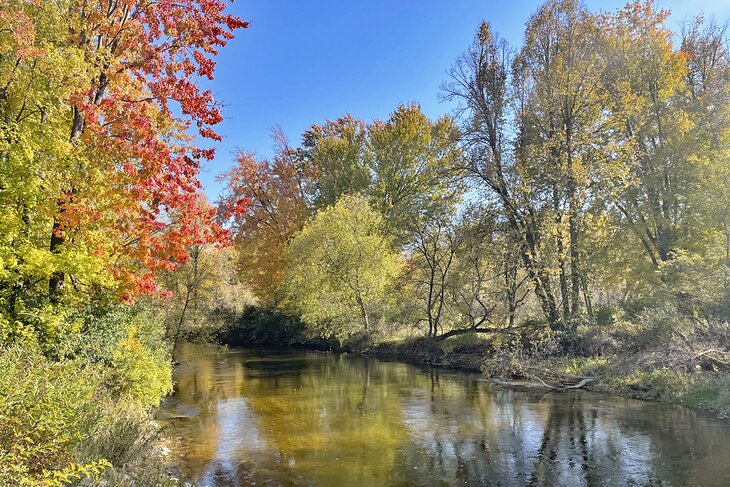 Las 10 mejores cosas para hacer en Mt. Pleasant, MI