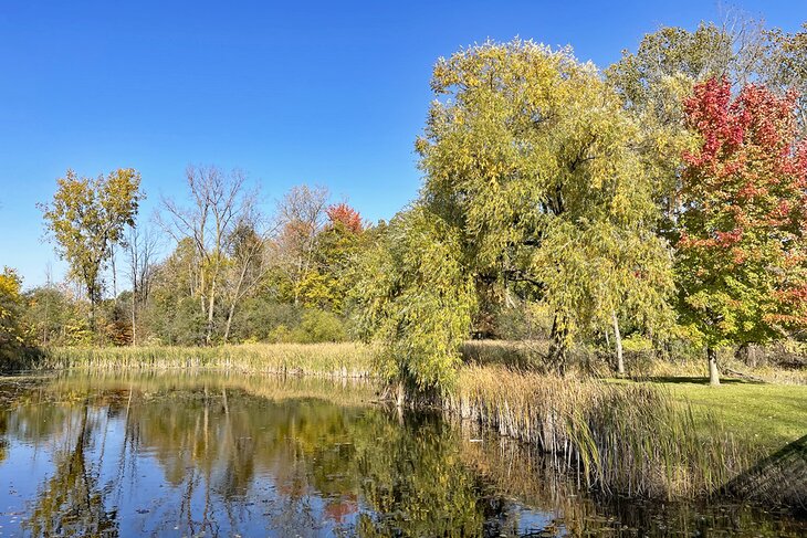 Mill Pond Park, Mt. Pleasant, Michigan