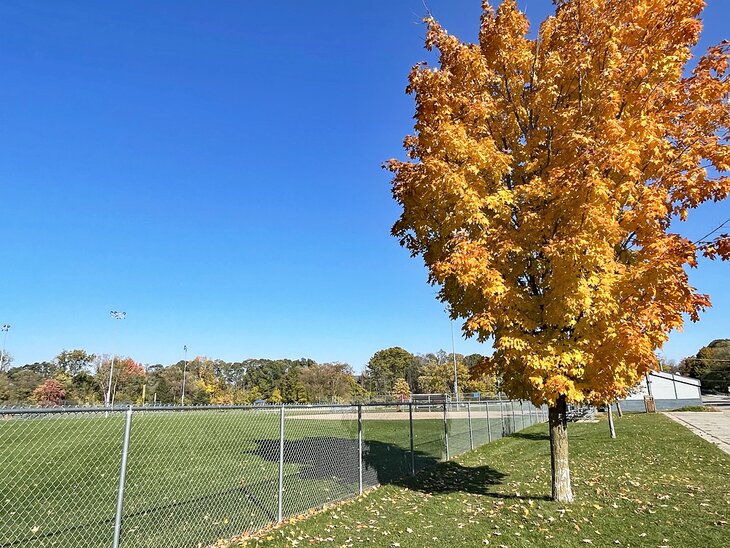 Las 10 mejores cosas para hacer en Mt. Pleasant, MI