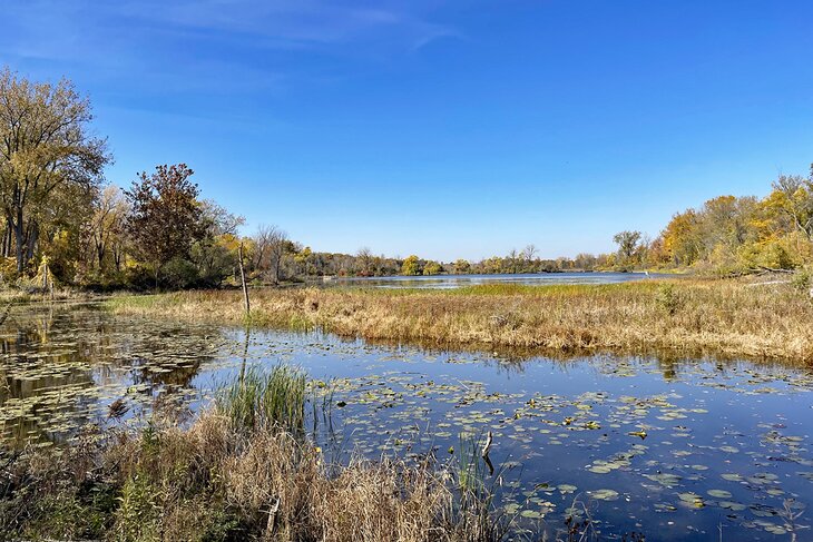 Bay City State Park