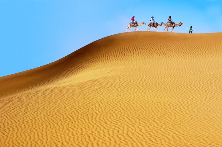 Traveling with camels in Erg Chebbi, Morocco
