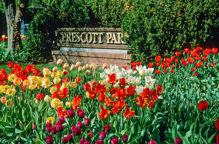 Prescott Park in the spring