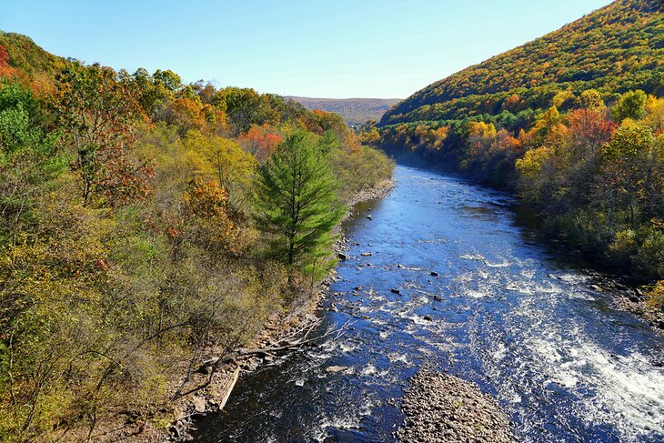 Rapids in Lehigh Gorge State Park