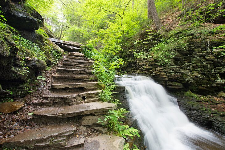 Trail next to a waterfall in Ricketts Glen State Park