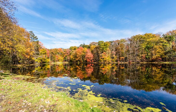 Fall colors in the Poconos