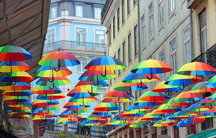 Umbrella Street