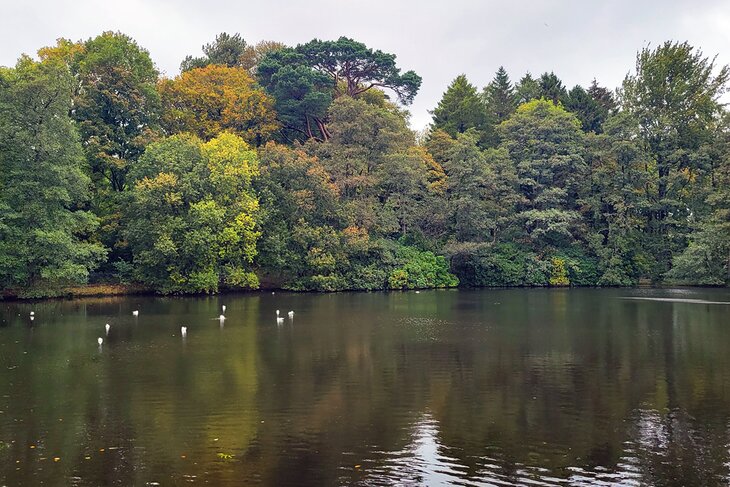 Rozelle Park