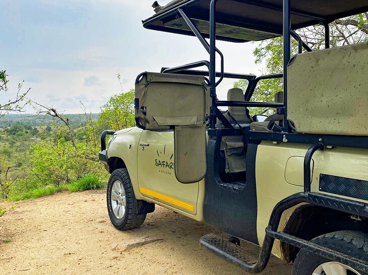 Guided Kruger National Park game drive