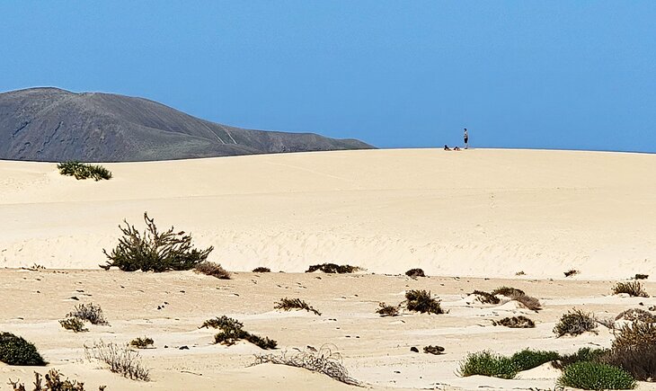 Playing in the dunes at Parque Natural Corralejo