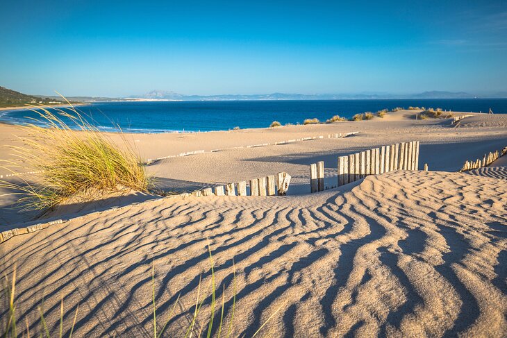 Playa Punta Paloma