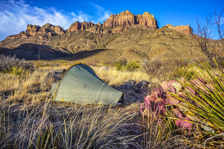 Backcountry tent camping in front of the Chisos Mountains in Big Bend National Park, Texas