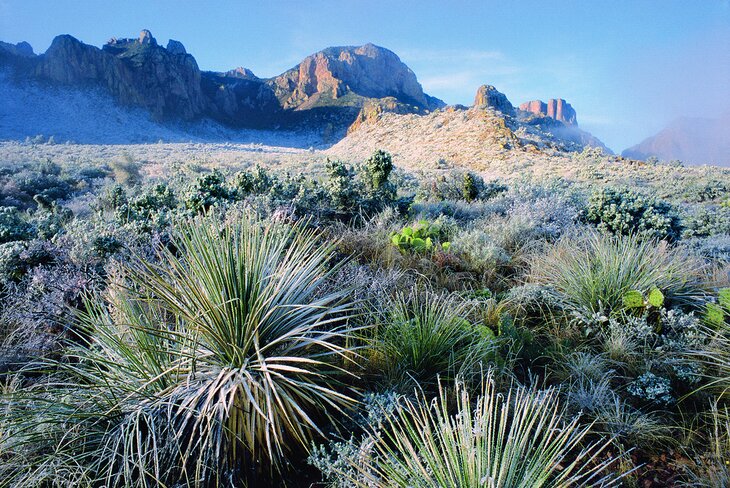 Big Bend National Park in winter