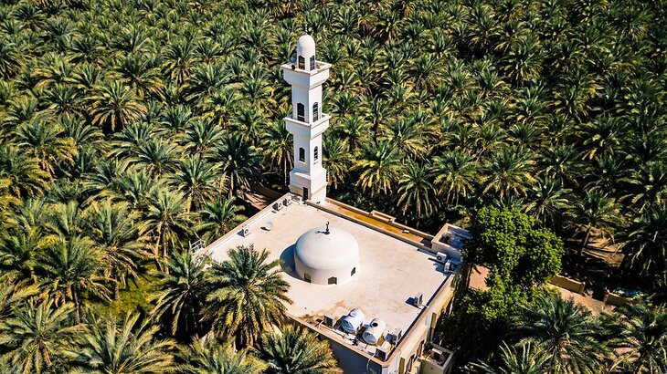 Mosque in the Al Ain oasis