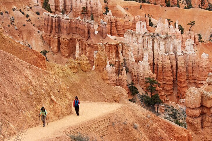 A hiking trail in Bryce Canyon National Park