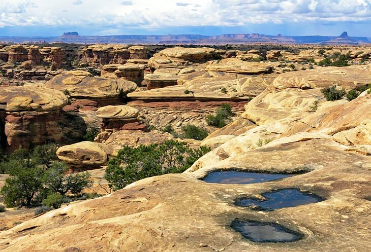 Pothole Point Trail, Needles District