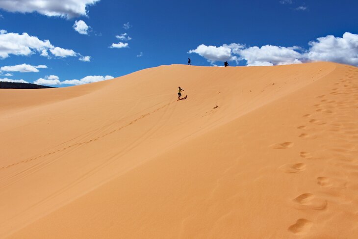 A dune in Coral Pink Sand Dunes State Park