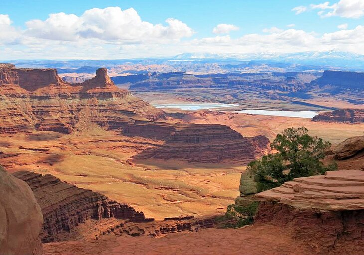 Dead Horse Point State Park