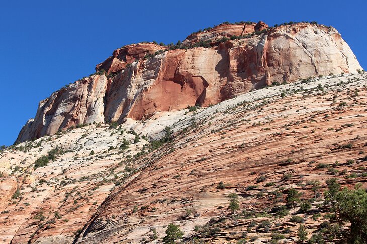 Rock wall along Zion-Mount Carmel Highway