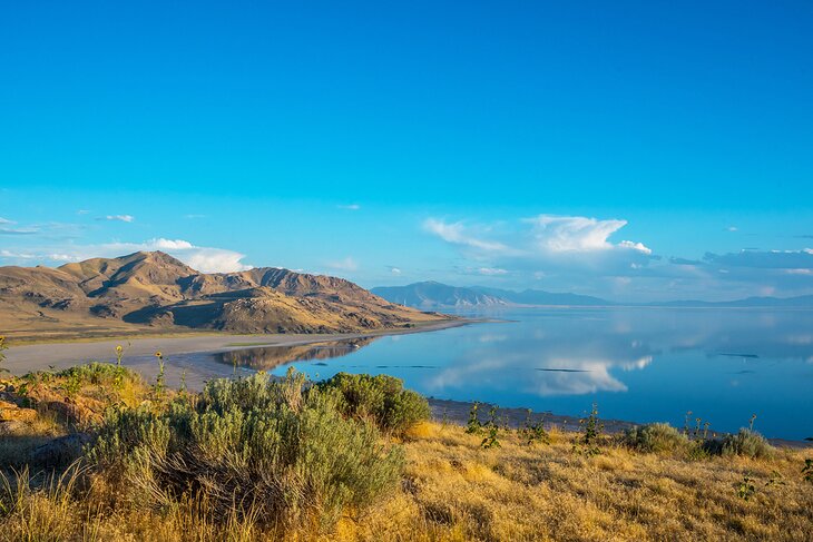 Antelope Island State Park