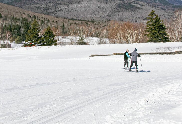 Cross-country skiers