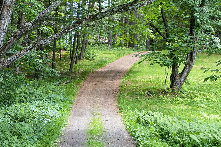 Old Carriage Road on Mt. Tom