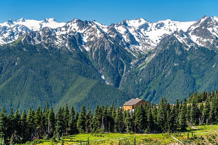 Hurricane Ridge, Olympic National Park, Washington