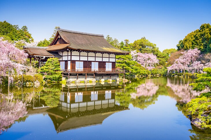 Cherry blossoms in April at Heian Shrine, Kyoto, Japan