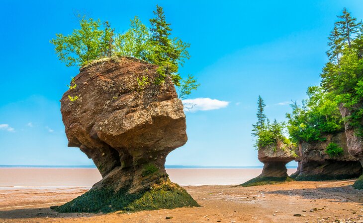 Hopewell Rocks