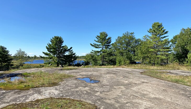 Torrance Barrens Dark-Sky Preserve during the day