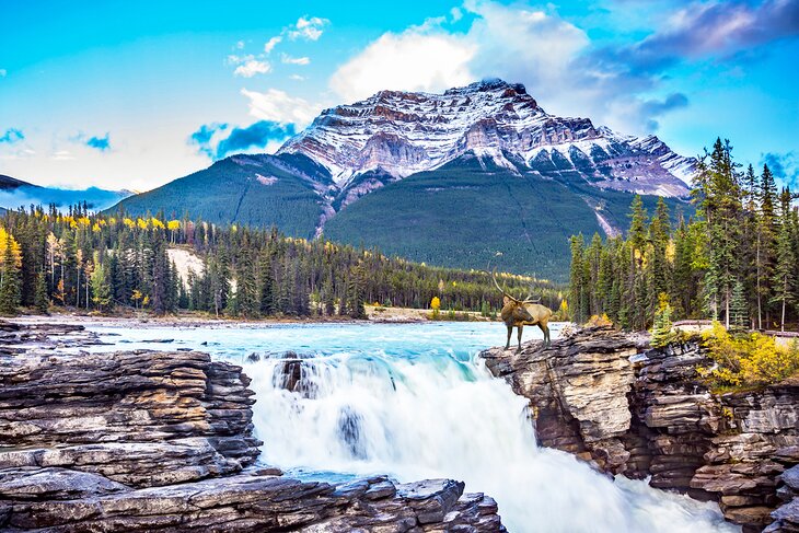 Athabasca Falls in Jasper National Park