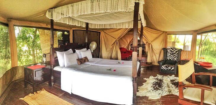 Photo Source: The Bison Resort